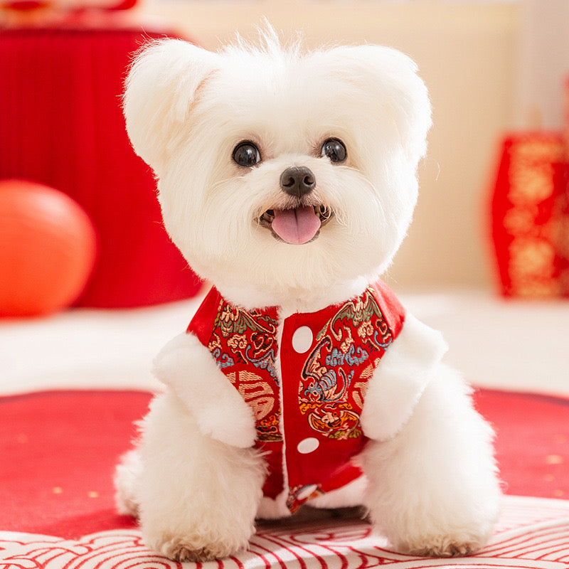Festive Lantern Pet Vest