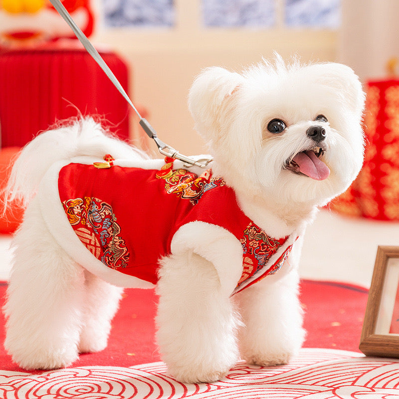 Festive Lantern Pet Vest